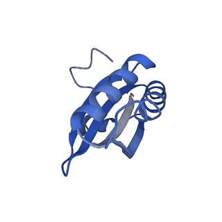 20208_6owf_AC_v1-3
Structure of a synthetic beta-carboxysome shell, T=3