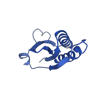 20208_6owf_AE_v1-3
Structure of a synthetic beta-carboxysome shell, T=3