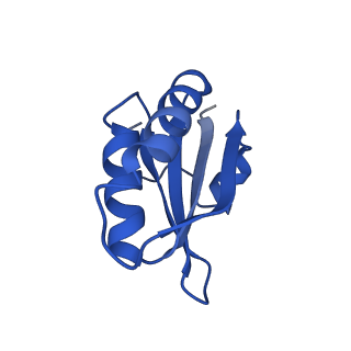 20208_6owf_AF_v1-2
Structure of a synthetic beta-carboxysome shell, T=3