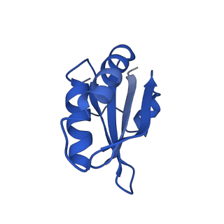20208_6owf_AF_v1-3
Structure of a synthetic beta-carboxysome shell, T=3