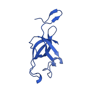 20208_6owf_AG_v1-2
Structure of a synthetic beta-carboxysome shell, T=3