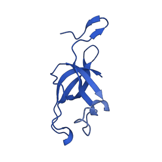 20208_6owf_AG_v1-3
Structure of a synthetic beta-carboxysome shell, T=3