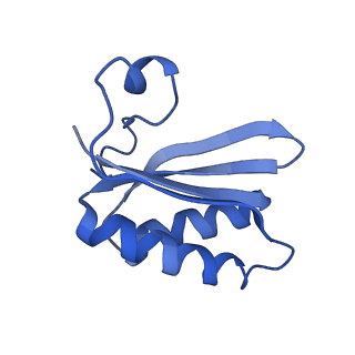 20208_6owf_AH_v1-2
Structure of a synthetic beta-carboxysome shell, T=3
