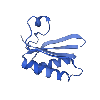 20208_6owf_AH_v1-3
Structure of a synthetic beta-carboxysome shell, T=3