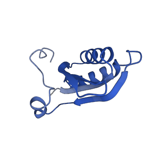 20208_6owf_AI_v1-2
Structure of a synthetic beta-carboxysome shell, T=3