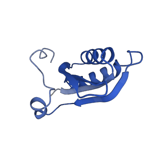 20208_6owf_AI_v1-3
Structure of a synthetic beta-carboxysome shell, T=3