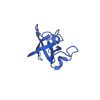 20208_6owf_AJ_v1-2
Structure of a synthetic beta-carboxysome shell, T=3