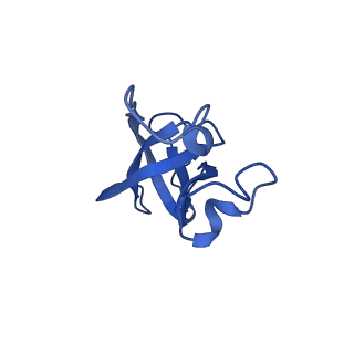 20208_6owf_AJ_v1-3
Structure of a synthetic beta-carboxysome shell, T=3