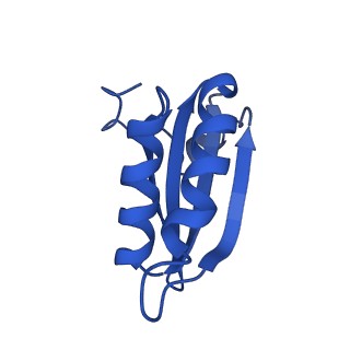 20208_6owf_AK_v1-2
Structure of a synthetic beta-carboxysome shell, T=3