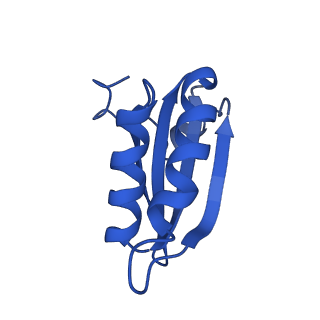 20208_6owf_AK_v1-3
Structure of a synthetic beta-carboxysome shell, T=3