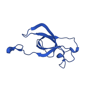 20208_6owf_AM_v1-2
Structure of a synthetic beta-carboxysome shell, T=3