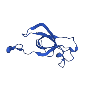 20208_6owf_AM_v1-3
Structure of a synthetic beta-carboxysome shell, T=3