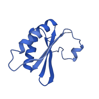 20208_6owf_AN_v1-2
Structure of a synthetic beta-carboxysome shell, T=3