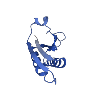 20208_6owf_AO_v1-2
Structure of a synthetic beta-carboxysome shell, T=3