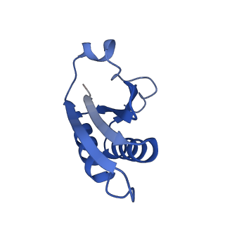 20208_6owf_AO_v1-3
Structure of a synthetic beta-carboxysome shell, T=3