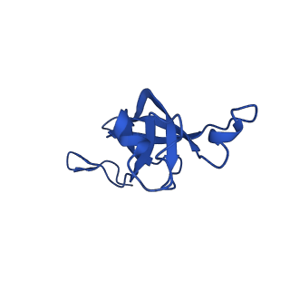 20208_6owf_AP_v1-3
Structure of a synthetic beta-carboxysome shell, T=3