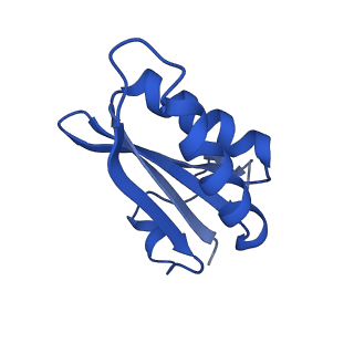 20208_6owf_AQ_v1-2
Structure of a synthetic beta-carboxysome shell, T=3