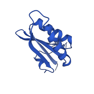 20208_6owf_AQ_v1-3
Structure of a synthetic beta-carboxysome shell, T=3