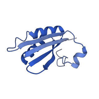 20208_6owf_AR_v1-2
Structure of a synthetic beta-carboxysome shell, T=3