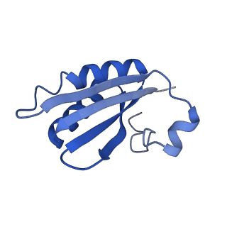 20208_6owf_AR_v1-3
Structure of a synthetic beta-carboxysome shell, T=3