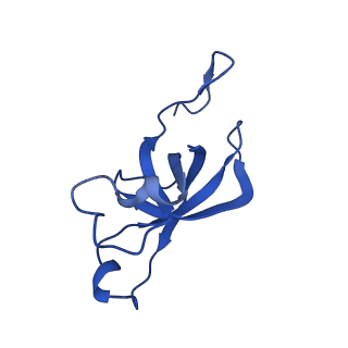 20208_6owf_AS_v1-2
Structure of a synthetic beta-carboxysome shell, T=3