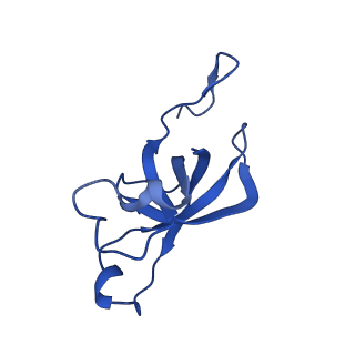 20208_6owf_AS_v1-3
Structure of a synthetic beta-carboxysome shell, T=3