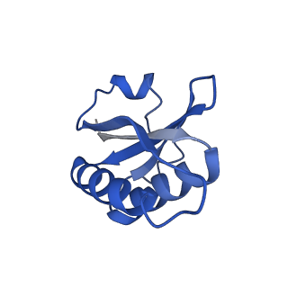 20208_6owf_AT_v1-2
Structure of a synthetic beta-carboxysome shell, T=3