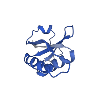 20208_6owf_AT_v1-3
Structure of a synthetic beta-carboxysome shell, T=3