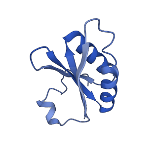 20208_6owf_AU_v1-2
Structure of a synthetic beta-carboxysome shell, T=3