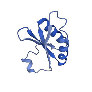 20208_6owf_AU_v1-3
Structure of a synthetic beta-carboxysome shell, T=3