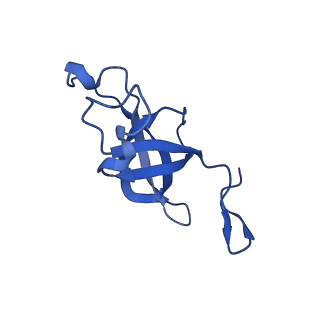 20208_6owf_AV_v1-3
Structure of a synthetic beta-carboxysome shell, T=3