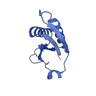 20208_6owf_AX_v1-2
Structure of a synthetic beta-carboxysome shell, T=3
