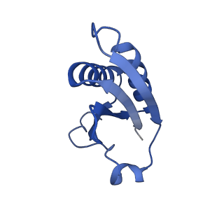 20208_6owf_AX_v1-3
Structure of a synthetic beta-carboxysome shell, T=3