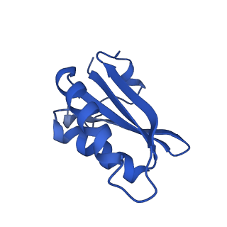 20208_6owf_AZ_v1-2
Structure of a synthetic beta-carboxysome shell, T=3