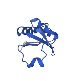 20208_6owf_A_v1-2
Structure of a synthetic beta-carboxysome shell, T=3
