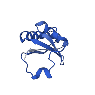 20208_6owf_A_v1-3
Structure of a synthetic beta-carboxysome shell, T=3