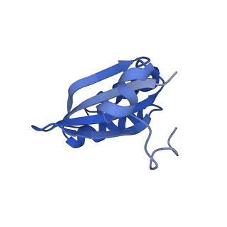 20208_6owf_B0_v1-2
Structure of a synthetic beta-carboxysome shell, T=3