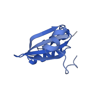 20208_6owf_B0_v1-3
Structure of a synthetic beta-carboxysome shell, T=3