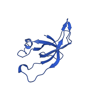 20208_6owf_B1_v1-3
Structure of a synthetic beta-carboxysome shell, T=3