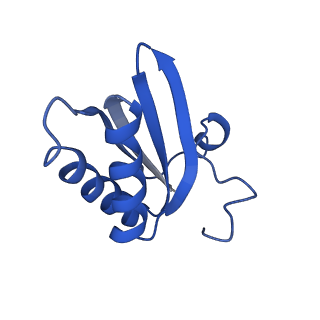 20208_6owf_B2_v1-3
Structure of a synthetic beta-carboxysome shell, T=3