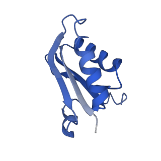 20208_6owf_B3_v1-2
Structure of a synthetic beta-carboxysome shell, T=3