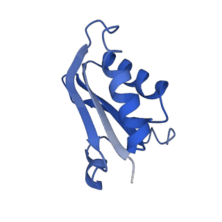 20208_6owf_B3_v1-3
Structure of a synthetic beta-carboxysome shell, T=3