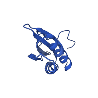 20208_6owf_B5_v1-2
Structure of a synthetic beta-carboxysome shell, T=3