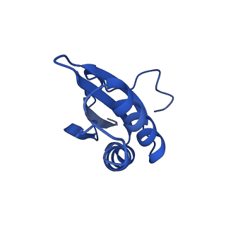 20208_6owf_B5_v1-3
Structure of a synthetic beta-carboxysome shell, T=3