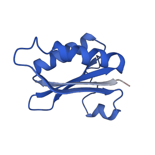 20208_6owf_B6_v1-2
Structure of a synthetic beta-carboxysome shell, T=3