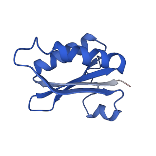 20208_6owf_B6_v1-3
Structure of a synthetic beta-carboxysome shell, T=3