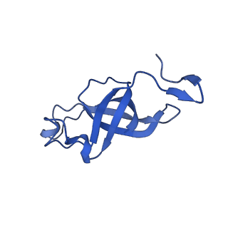 20208_6owf_B7_v1-3
Structure of a synthetic beta-carboxysome shell, T=3