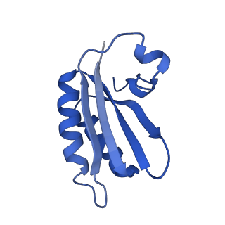 20208_6owf_B8_v1-3
Structure of a synthetic beta-carboxysome shell, T=3