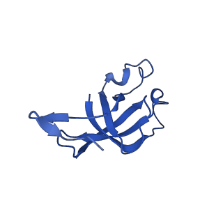 20208_6owf_BA_v1-2
Structure of a synthetic beta-carboxysome shell, T=3