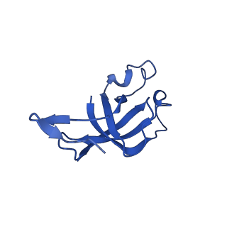 20208_6owf_BA_v1-3
Structure of a synthetic beta-carboxysome shell, T=3